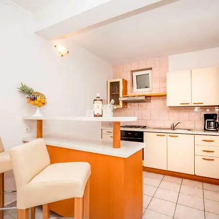 Borovina By Interhome בית נופש יאנוב