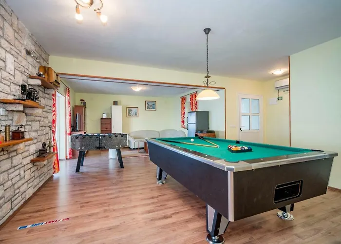 Borovina By Interhome Holiday home *